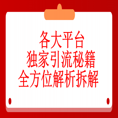 玩转流量 各大平台独家引流秘籍 全方位解