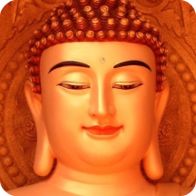 听佛经 v5.1 纯净版 —— 净化心灵，修持戒定慧，助你正信正念，远离烦恼苦闷的佛教音频应用